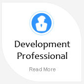 Development Professional